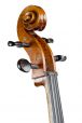 Conservatorium cello Montagna model 4/4 6