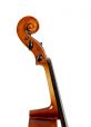 Studie cello instapklasse 1/2 5