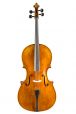 Studie cello gemiddelde klasse 7/8 1