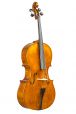 Studie cello gemiddelde klasse 7/8 2