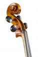 Studie cello gemiddelde klasse 7/8 6