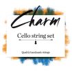 Charm cello snaar 1