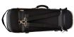 Altvioolkoffer de luxe 3