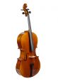 Studie cello gemiddelde klasse 1/2 3