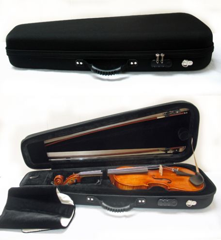 Altvioolkoffer de luxe