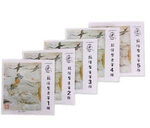 Guzheng snaren 1-5